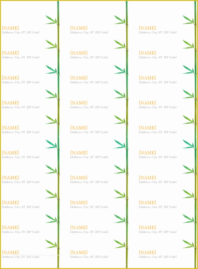 Free Address Label Templates Of Return Address Label Templates Print Multiple Labels In