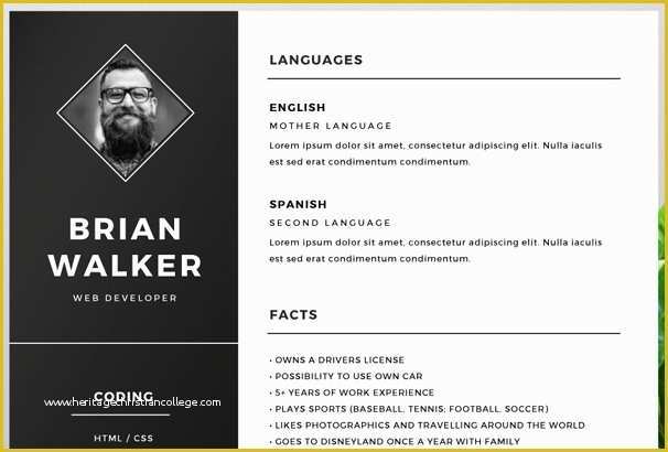 Free Adobe Illustrator Templates Of Adobe Illustrator Resume Template Hanoirelax