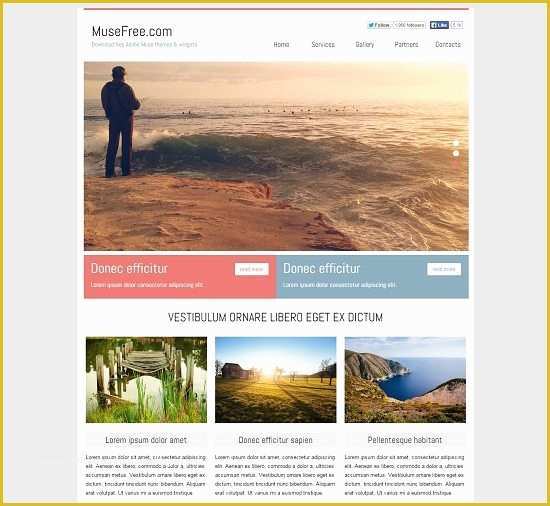 Free Adobe Muse Templates for Photographers Of 53 Best Adobe Muse Templates Free & Premium Templatefor