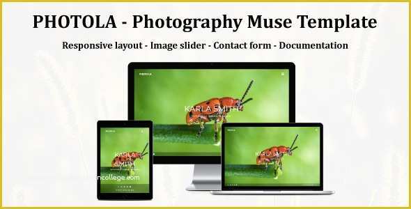 Free Adobe Muse Templates for Photographers Of Photola Graphy Muse Template by Awesomethemez