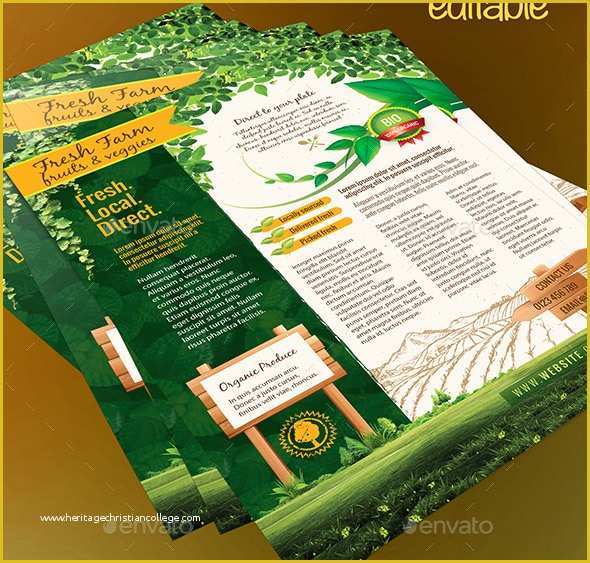 Free Agriculture Flyer Templates Of 23 Cool Flyer Templates for Farm Business – Design Freebies