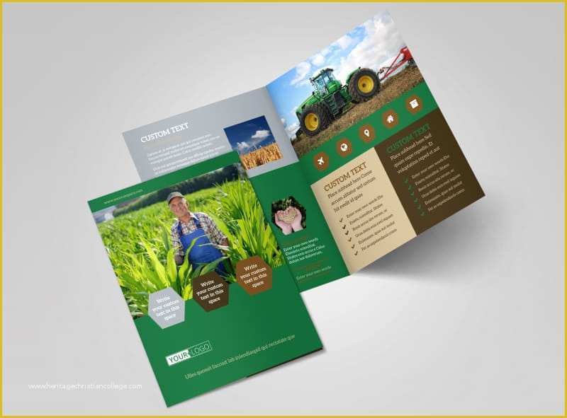 Free Agriculture Flyer Templates Of Agriculture Consultants Brochure Template