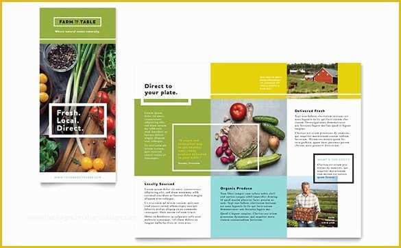 Free Agriculture Flyer Templates Of Brochure Template Word 41 Free Word Documents Download