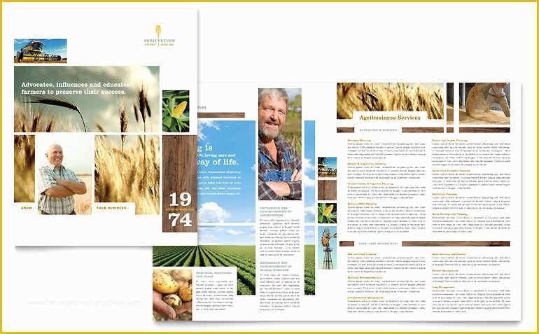 Free Agriculture Flyer Templates Of Farming & Agriculture Brochure Template Word & Publisher