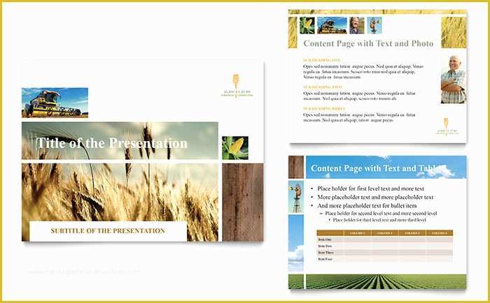 Free Agriculture Flyer Templates Of Farming & Agriculture Powerpoint Presentation Template Design