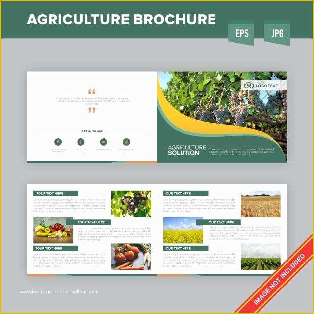 Free Agriculture Flyer Templates Of Modren Agriculture Brochure Design Template Template for