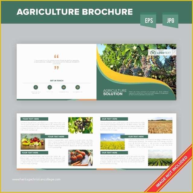 Free Agriculture Flyer Templates Of Modren Agriculture Brochure Design Template Template for