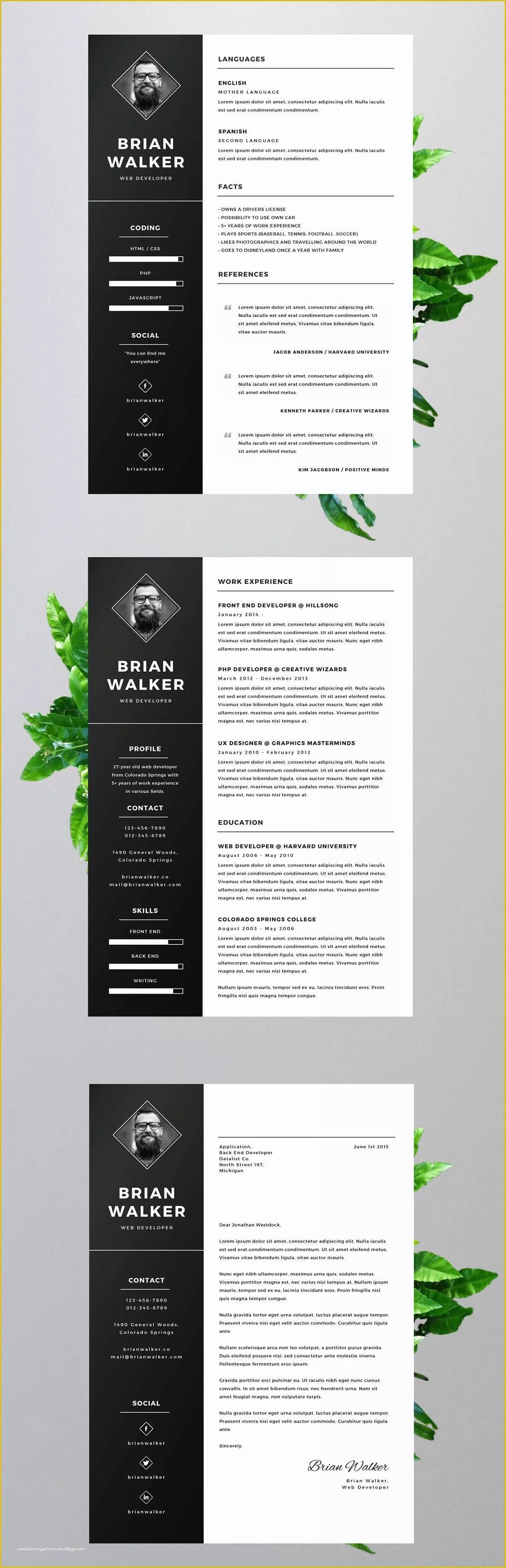 Free Ai Resume Templates Of Free Resume Template for Word Shop & Illustrator On