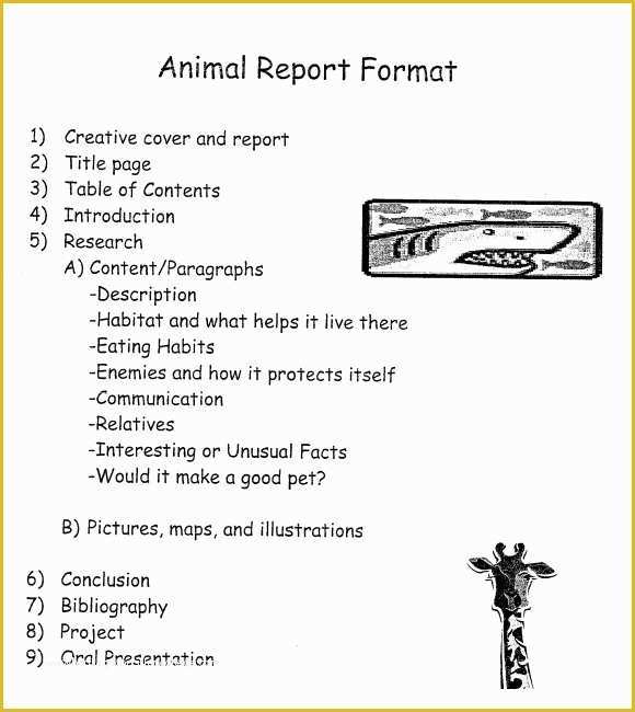 Free Animal Report Template Of 7 Sample Animal Report Templates