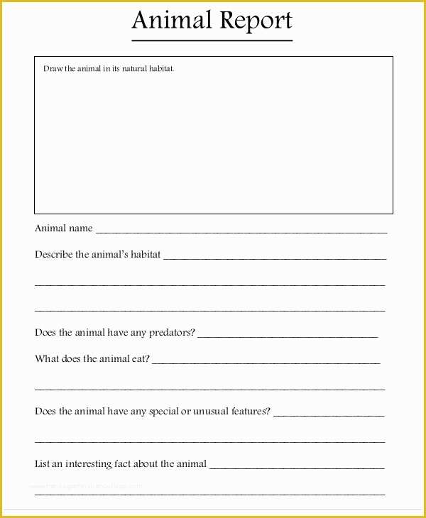 Free Animal Report Template Of 9 Animal Report Templates Word Pdf