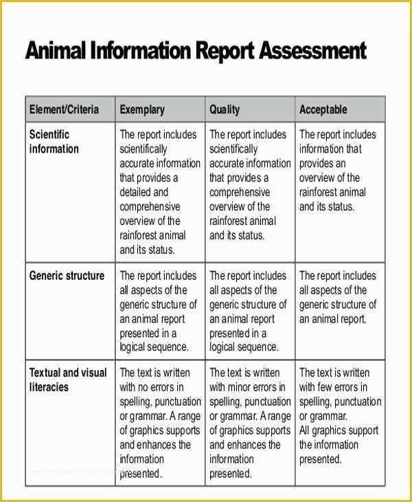 Free Animal Report Template Of 9 Animal Report Templates Word Pdf