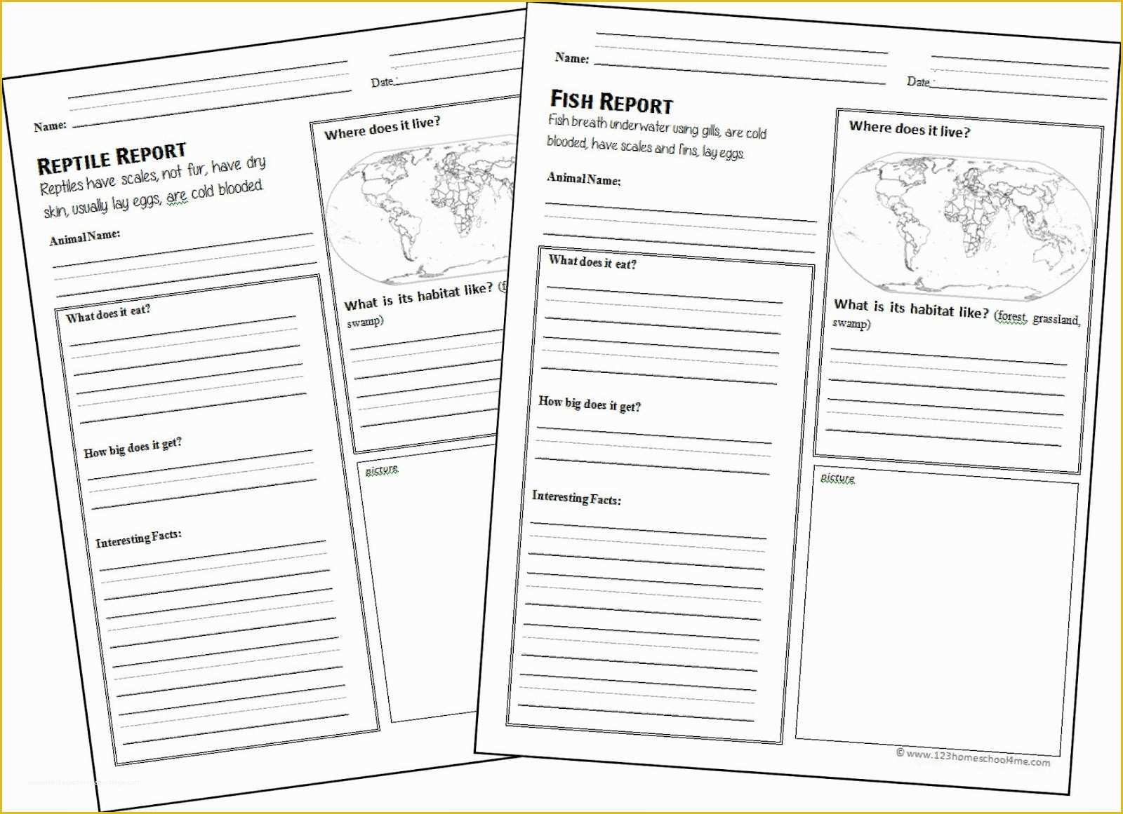 Free Animal Report Template Of Free Animal Report form Printable