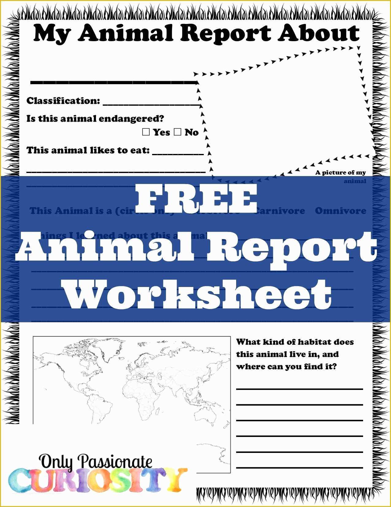 Free Animal Report Template Of Free Animal Report Worksheet Ly Passionate Curiosity