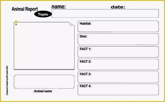 Free Animal Report Template Of Pinterest • the World’s Catalog Of Ideas