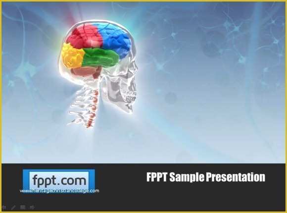 Free Animated Medical Ppt Templates Of Animated Skull Template for Powerpoint Presentations