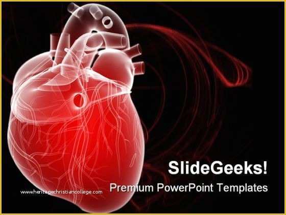 Free Animated Medical Ppt Templates Of Human Heart Medical Powerpoint Template 0610