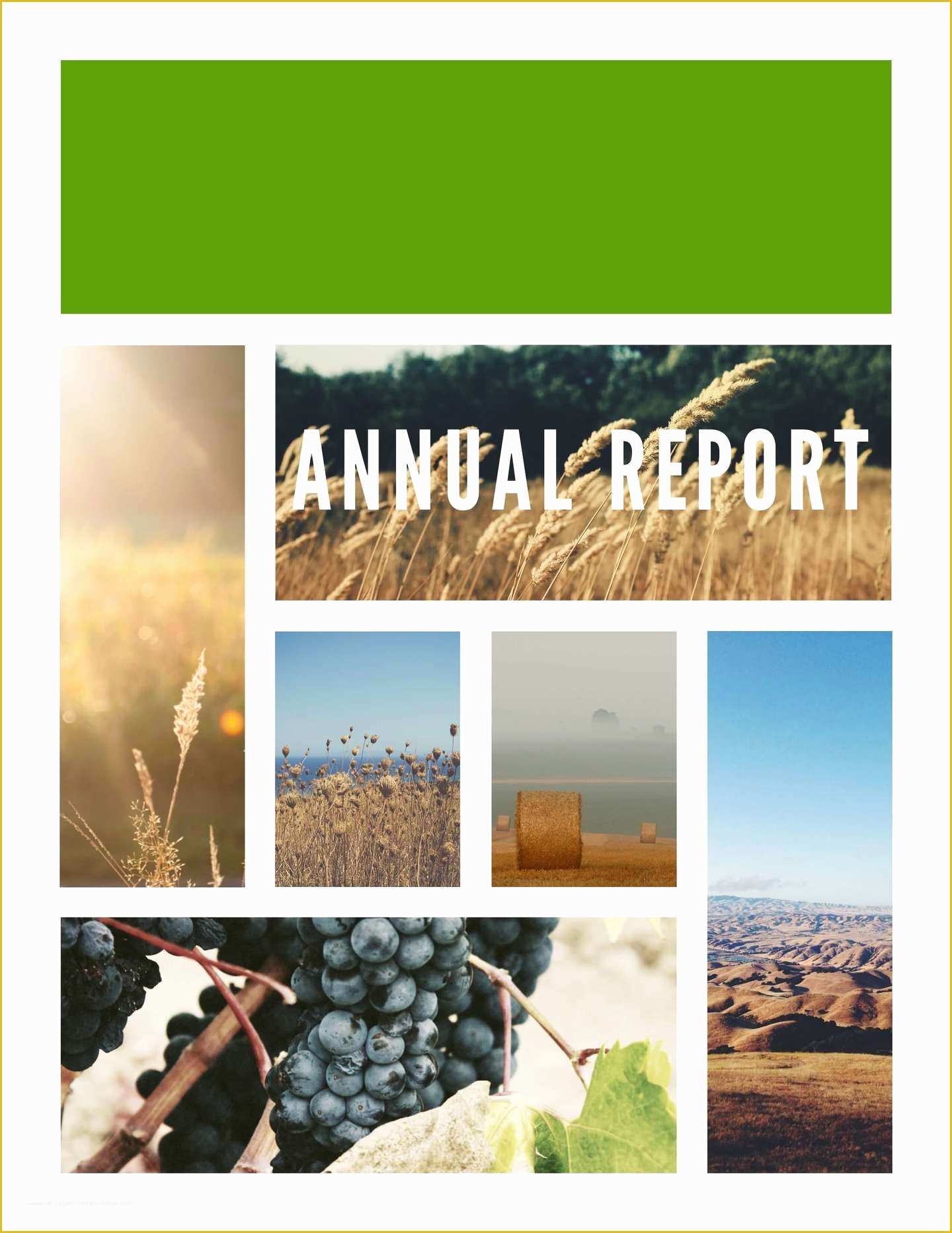 Free Annual Report Template Of Free Annual Report Templates & Examples [6 Free Templates]