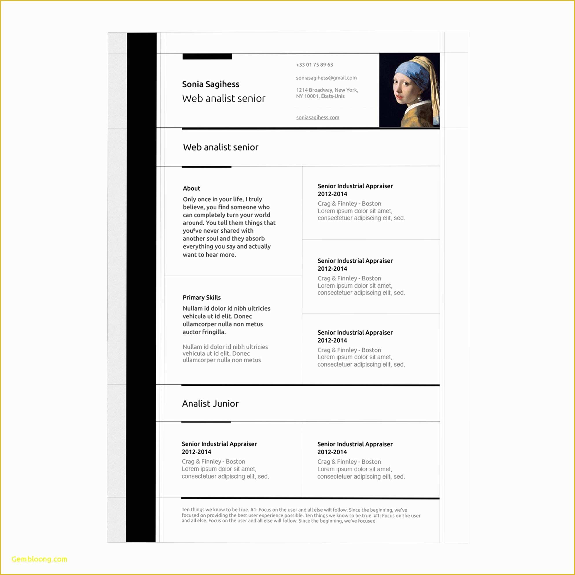 Free Apple Pages Resume Templates Of Literarywondrous Resume Templates for Pages Cv Template
