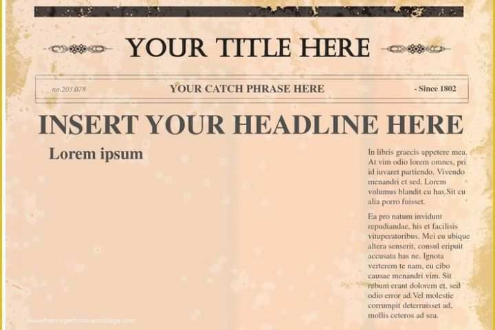 Free Article Writing Template Of 1000 Ideas About Newspaper Article Template On Pinterest