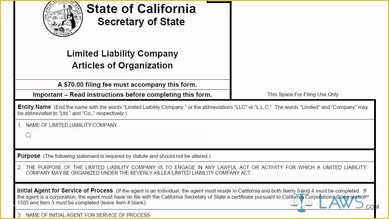 Free Articles Of organization Template Of California Llc Articles organization Template