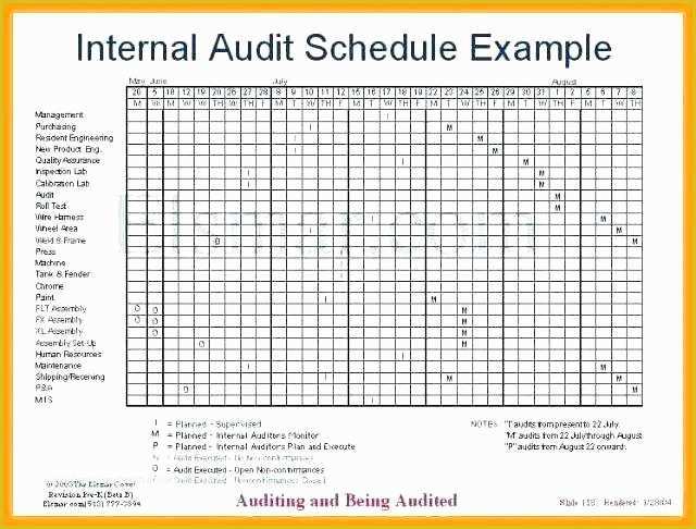 Free Audit Program Templates Of Internal Audit Program Template Internal Audit Plan