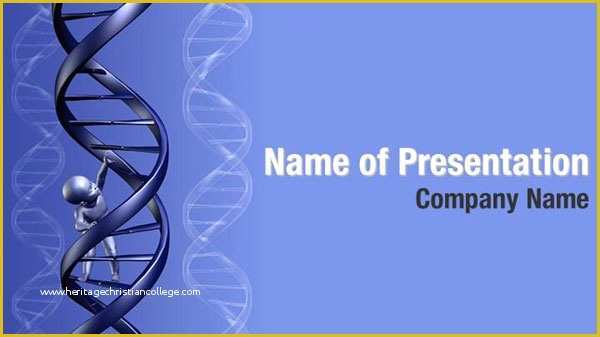 Free Baby Powerpoint Templates Backgrounds Of Baby Dna Powerpoint Templates Baby Dna Powerpoint