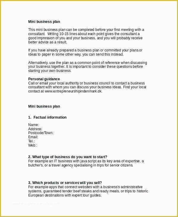 Free Basic Business Plan Template Download Of Free Basic Business Plan Template Council Business Plan