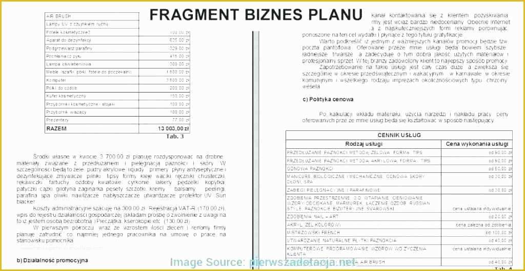 Free Basic Business Plan Template Download Of Free Download 49 Simple Business Plan Template Word Model