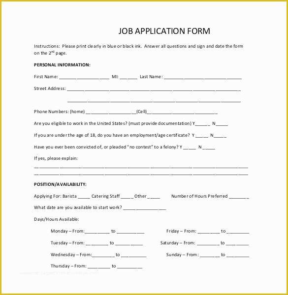 Free Basic Job Application Template Of Job Application Template 19 Examples In Pdf Word
