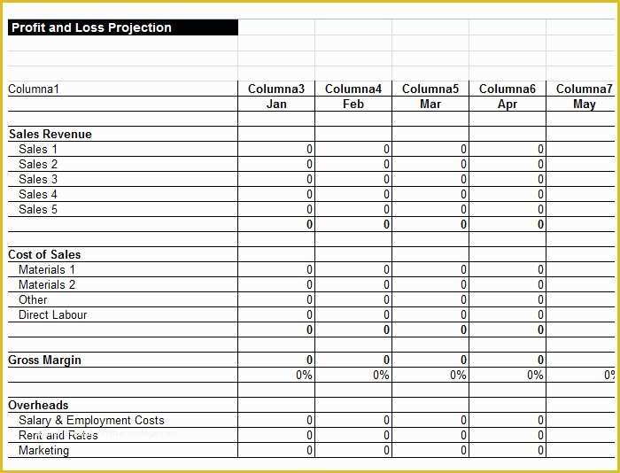 Free Basic Profit and Loss Statement Template Of 13 Profit and Loss Statements Word Pdf