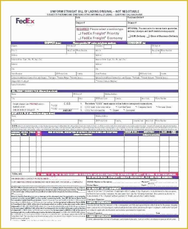 Free Big Check Template Download Of Word Check Template Business Blank Printable Checks Free