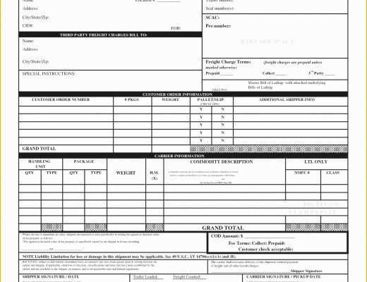 Free Bill Of Lading Template Excel Of 18 Lovely Bill Lading Example form