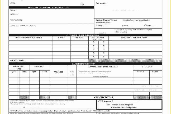 Free Bill Of Lading Template Excel Of 18 Lovely Bill Lading Example form