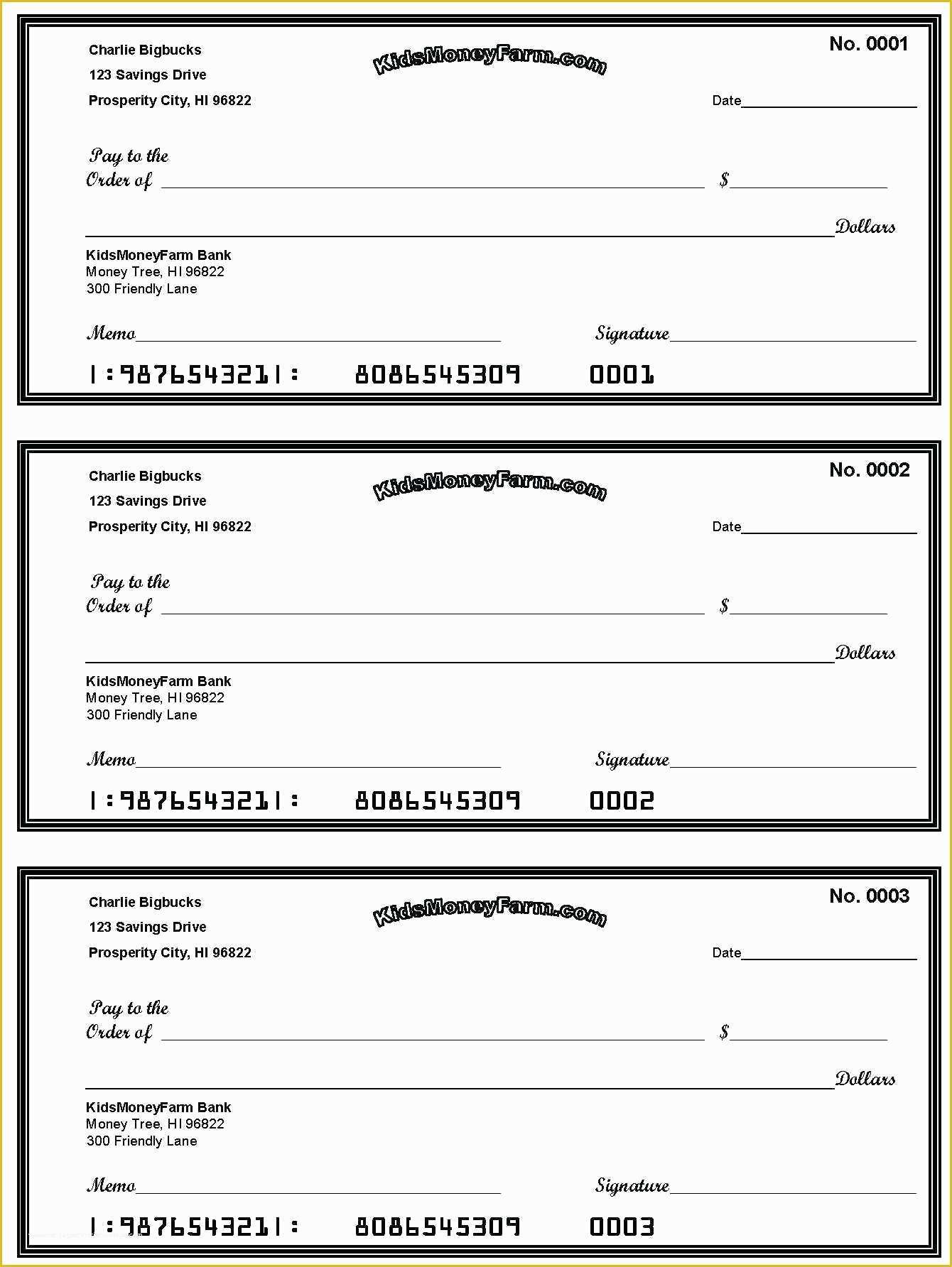 Blank Business Check Template