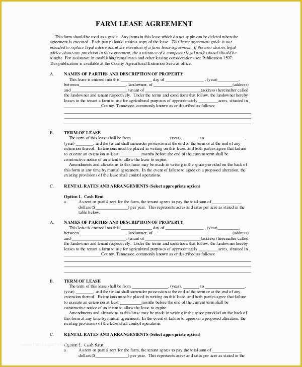 Free Blank Lease Agreement Template Of Blank Rental Agreement 9 Free Word Pdf Documents