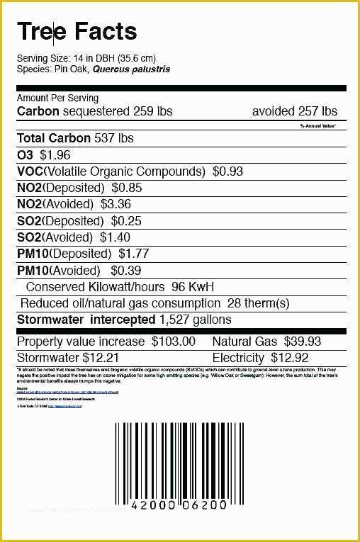 Free Blank Nutrition Label Template Of Vector Nutrition Facts Food Table Label Design Template