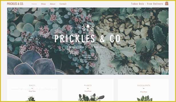 Free Boutique Templates for Website Of Line Store Website Templates