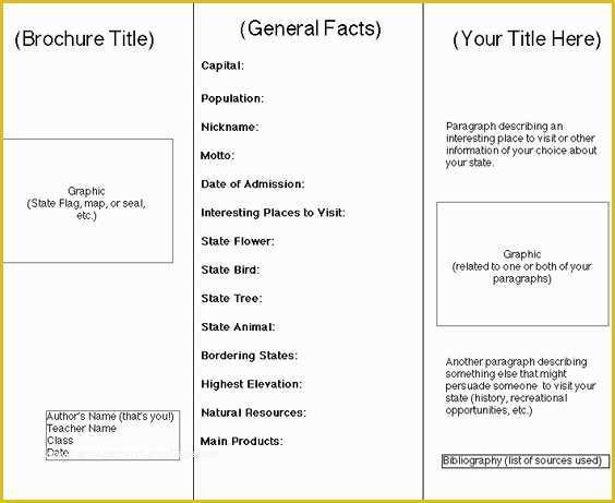 Free Brochure Templates for Students Of State Brochure Template