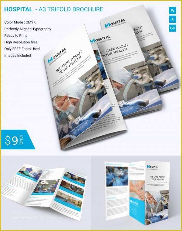 Free Brochure Templates for Word Of Brochure Templates Pdf Free Download Csoforumfo