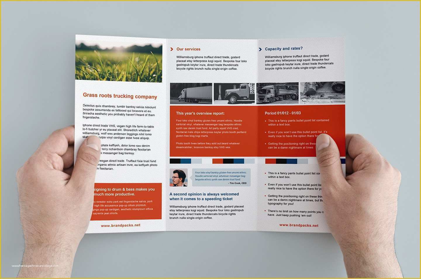 Free Brochure Templates Of Free Trifold Brochure Template In Psd Ai &amp; Vector