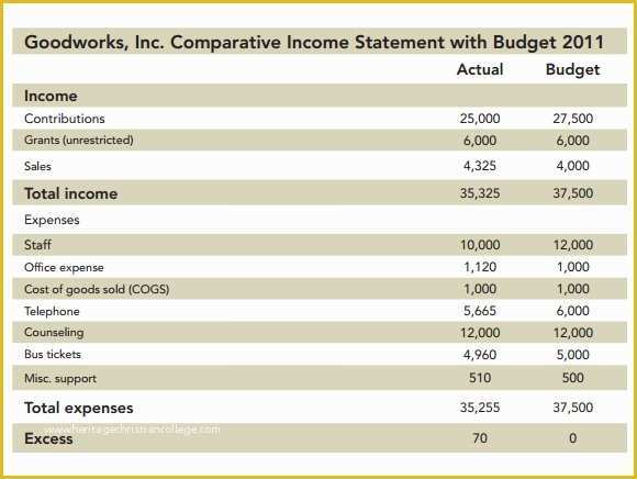 Free Budget Template for Non Profit organization Of 7 Non Profit Bud Samples