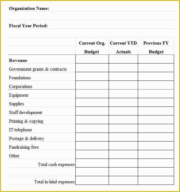 Free Budget Template for Non Profit organization Of 7 Non Profit Bud Samples