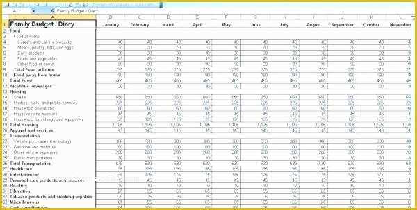 Free Budget Template for Non Profit organization Of Excel Project Bud Template Non Profit Bud Template