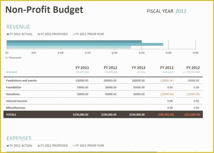 Free Budget Template for Non Profit organization Of Free Bud Template for Non Profit organization Walachfo