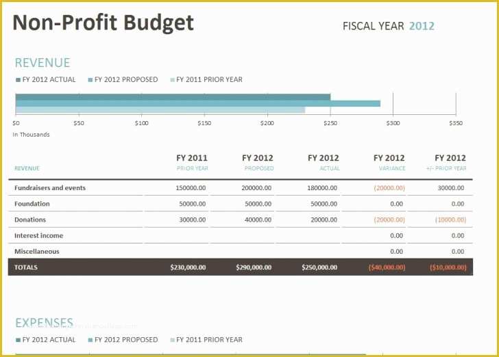 Free Budget Template for Non Profit organization Of Free Bud Template for Non Profit organization Walachfo