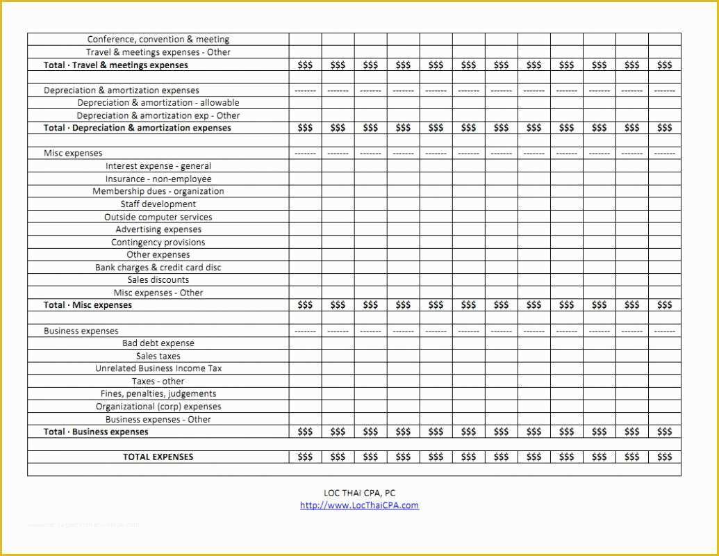 Free Budget Template for Non Profit organization Of Non Profit Bud Template