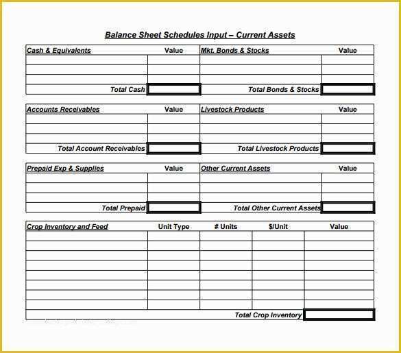 Free Business Balance Sheet Template Of 18 Sample Balance Sheets