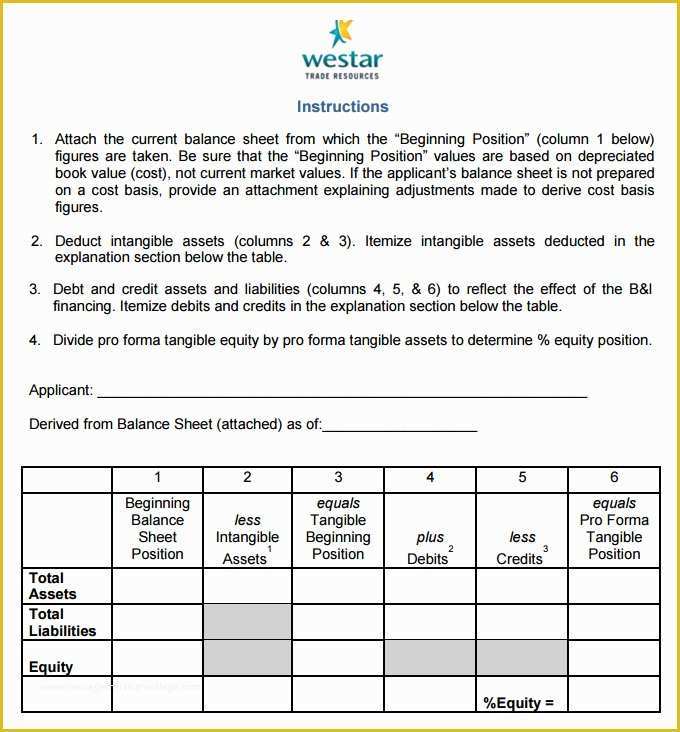 Free Business Balance Sheet Template Of Pro forma Balance Sheet 8 Free Excel Pdf Documents