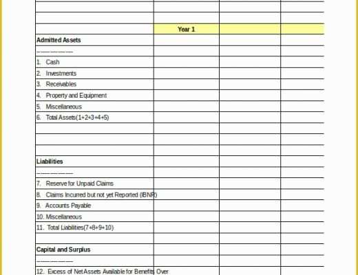 Free Business Balance Sheet Template Of Pro forma Excel Template 10 Free Excel Documents