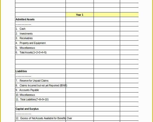 Free Business Balance Sheet Template Of Pro forma Excel Template 10 Free Excel Documents